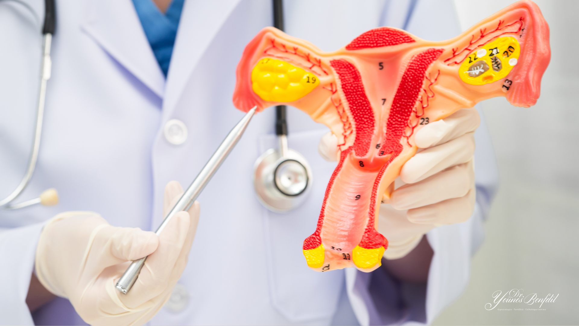 11Médecine régénérative après accouchement